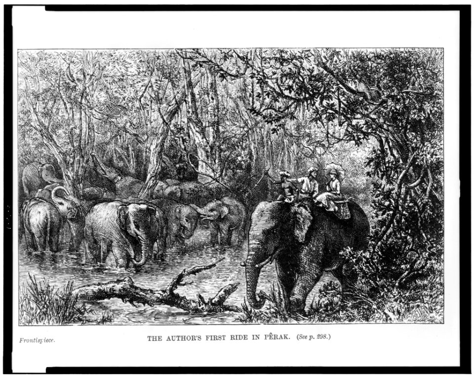 The Author's first ride in Perak LCCN93509597