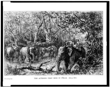 The Author's first ride in Perak LCCN93509597