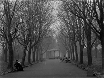 The Avenue, Sophia Gardens (4641637)