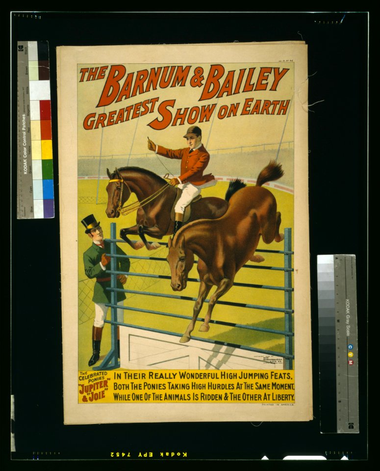 The Barnum & Bailey Greatest Show on Earth-The celebrated ponies Jupiter & Joie ... LCCN2002735828