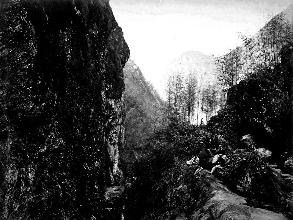 The Bankers' Glen, Yuen-foo River (1869 or 1870)