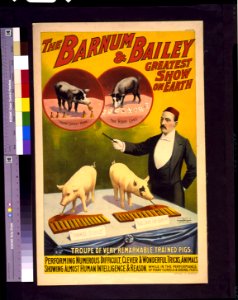 The Barnum & Bailey greatest show on earth-Troupe of very remarkable trained pigs LCCN93505604