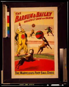 The Barnum & Bailey greatest show on earth. The marvelous foot-ball dogs - Strobridge Litho. Co., Cincinnati & New York. LCCN2002695267 photo