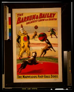 The Barnum & Bailey greatest show on earth. The marvelous foot-ball dogs - Strobridge Litho. Co., Cincinnati & New York. LCCN2002695267