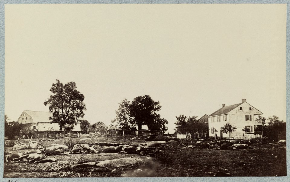 The battle-field of Gettysburg. Dead horses of Bigelows (9th Massachusetts) Battery LCCN2012647700
