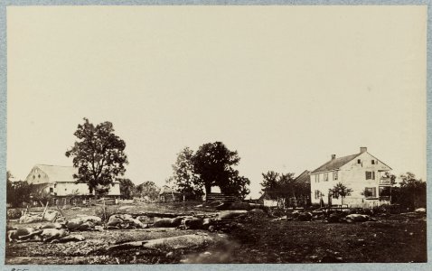 The battle-field of Gettysburg. Dead horses of Bigelows (9th Massachusetts) Battery LCCN2012647700