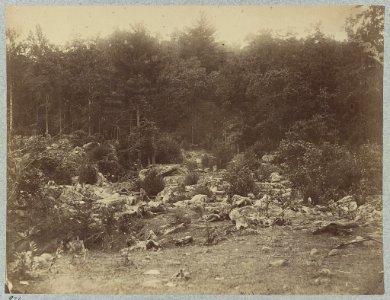 The battle-field of Gettysburg. The valley of the shadow of death. Between Round Top and Little Round Top LCCN2012647709