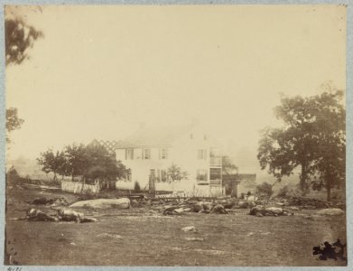 The battle-field of Gettysburg. Dead horses of Bigelows (9th Massachusetts) Battery LCCN2012647710