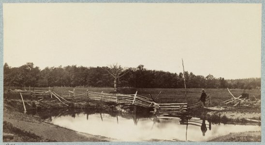 The battle-field of Gettysburg. McPherson's woods in which Archer's (Confederate) Brigade was captured, view of the side towards the Chambersburg pike LCCN2012646949