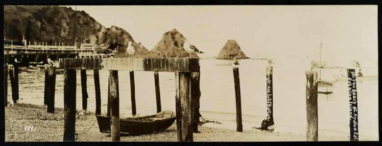 The beach at Avalon, Cal., Catalina Island - Lester Clement Barton. LCCN2013646895