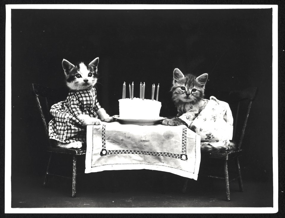 The birthday cake LCCN2013648266