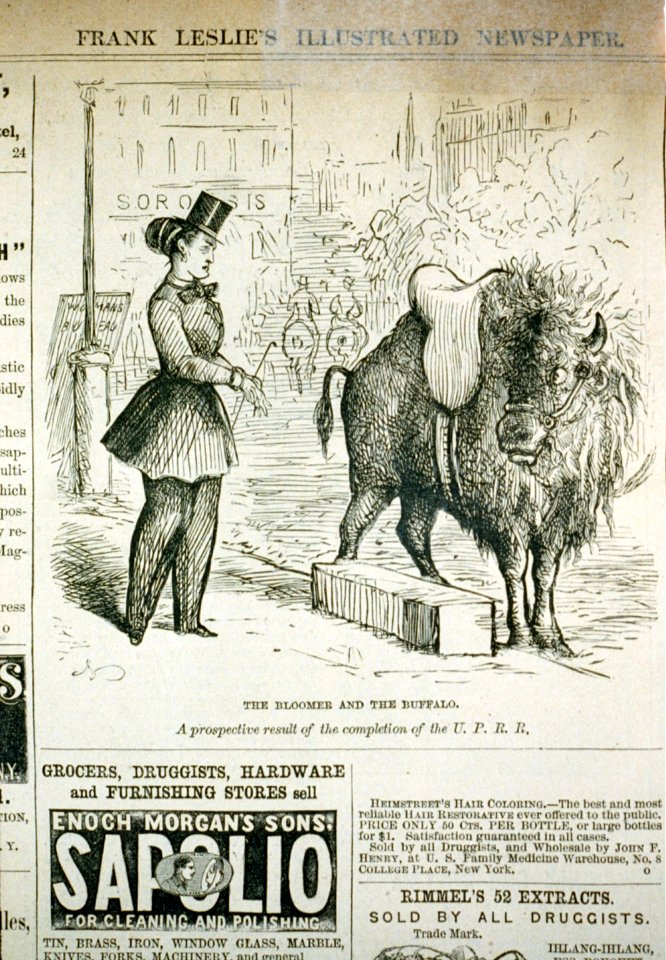 The bloomer and the buffalo. A prospective result of the completion of the U.P.R.R. LCCN2002720306