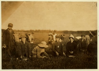 The boy standing is Manuel Baptiste, 605 Acushnet Ave., Fall River, Mass. Said 10 years old. 7 year old Alphonse and 12 year old Alphonse Derosies, of 587 E. End Ave., Fall River, Mass., was LOC nclc.00129
