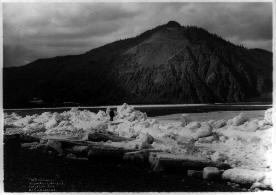 The breaking ice, Yukon River, May 8, 1905 LCCN97508454