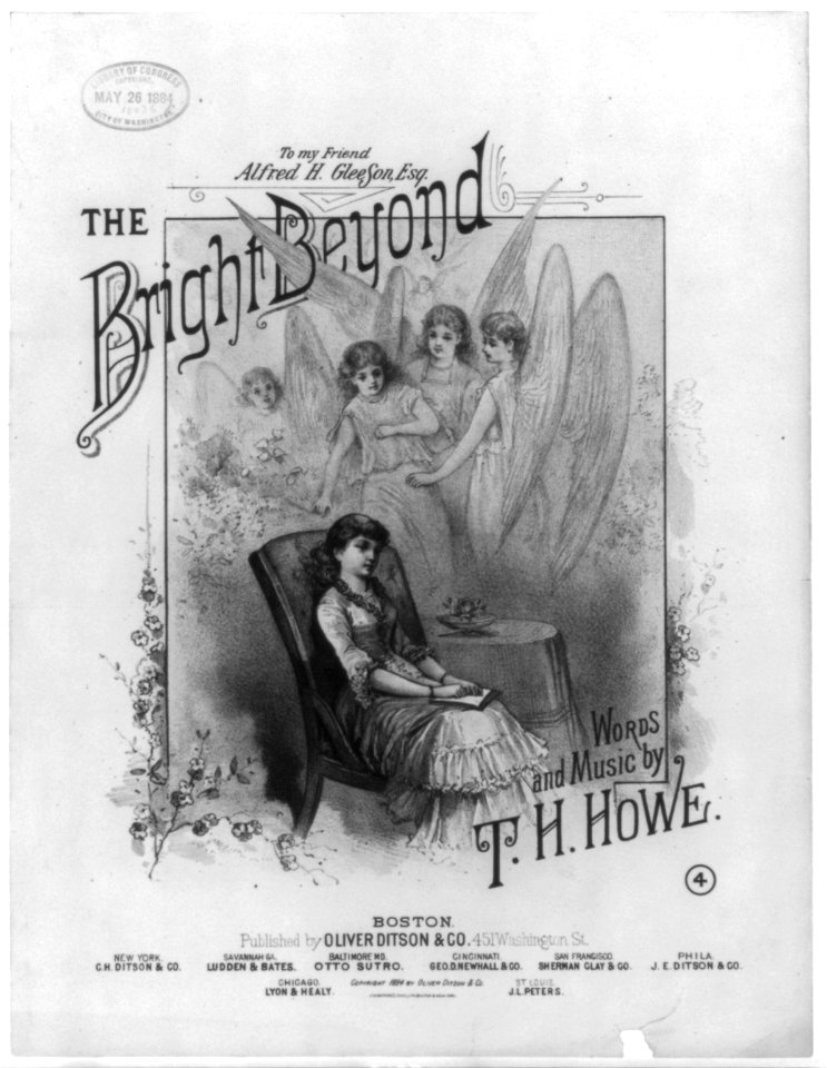 The Bright Beyond LCCN2001701511