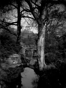 The Brook, Belle-Vue Park, Newport (4641220)