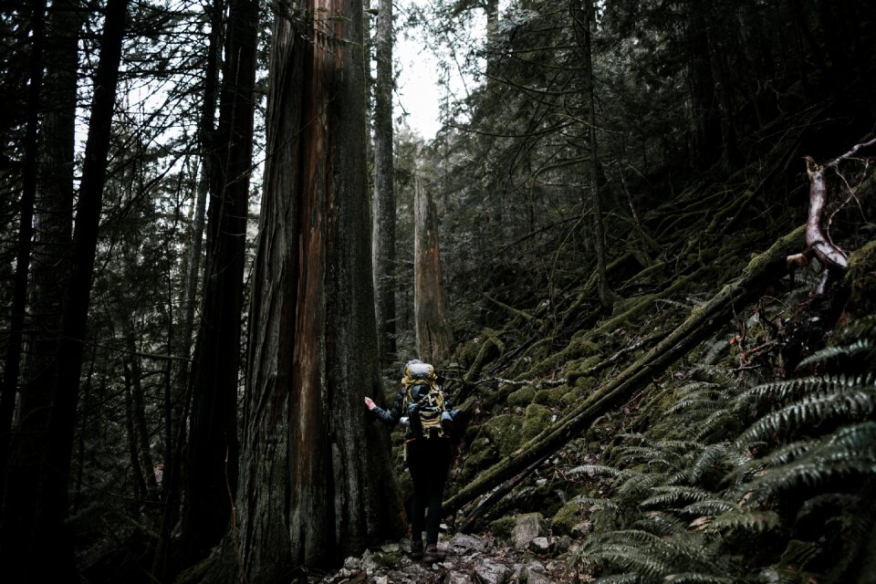 Climbing hiking trek