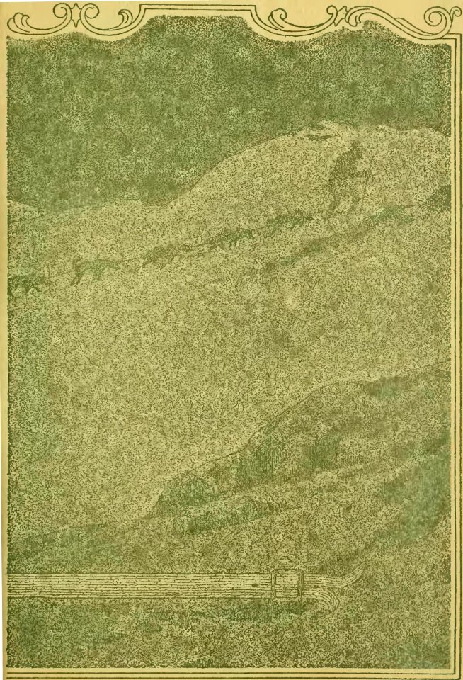 The Call of the Wild 1903 p237