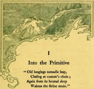 The Call of the Wild 1903 p15