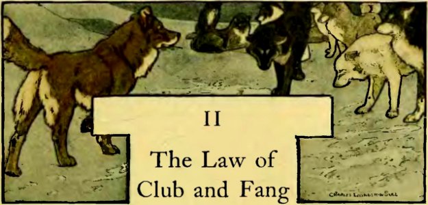 The Call of the Wild 1903 p43