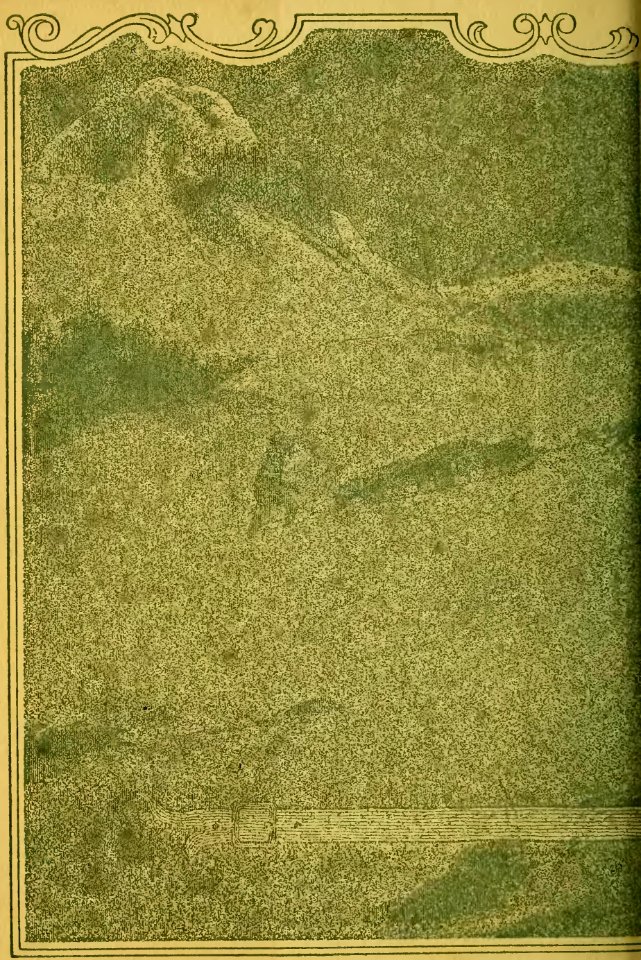 The Call of the Wild 1903 p236