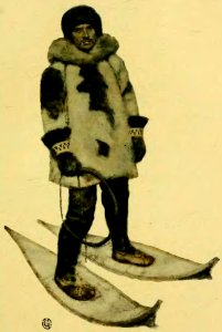 The Call of the Wild 1903 p53