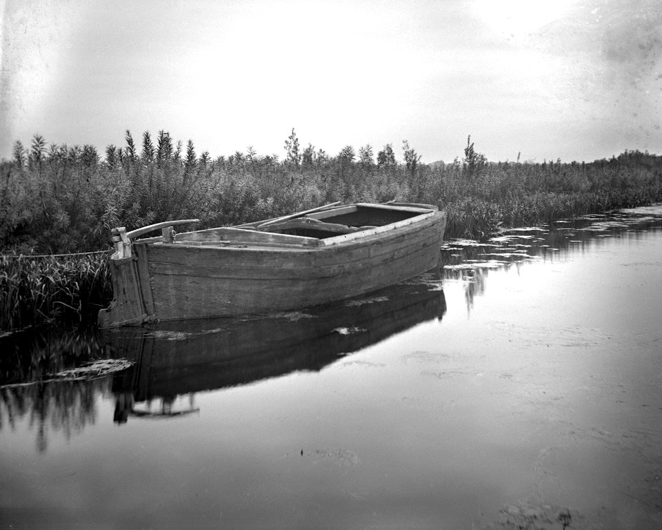 The Canal, Cottingwith YORYM-S31