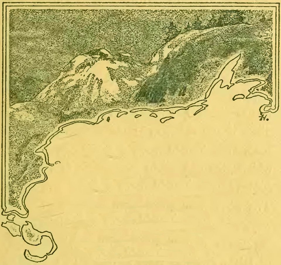 The Call of the Wild 1903 p15 no text
