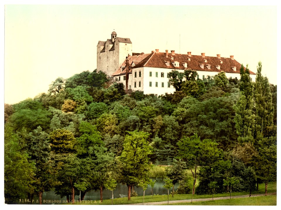 The castle, Ballenstedt, Hartz, Germany-LCCN2002713763