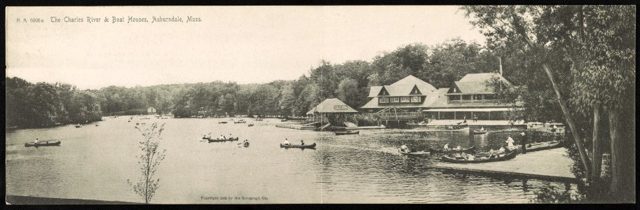 The Charles River & boat houses, Auburndale, Mass. LCCN2013647052