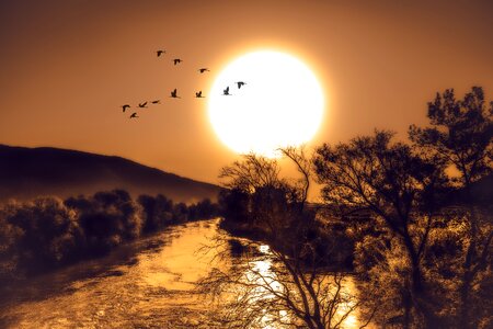 Birds sky sunset photo