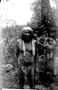 Selimos bror vid Rio Pasuto. Märk hans pannband. Choco. Colombia - SMVK - 004057