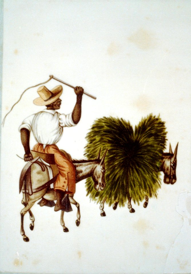 Seller of grass for fodder, Peru LCCN00651687