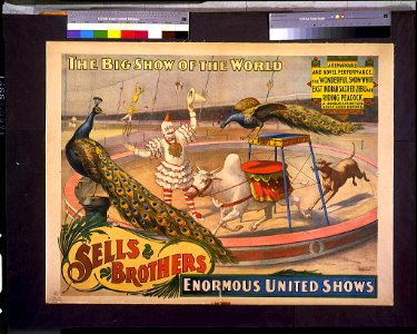 Sells Brothers enormous united shows. ... The wonderful Snow White ... zebu and riding peacock LCCN94507627