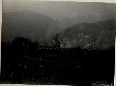 Selva bei Levico. Hauptübung des Sturmbataillons. (BildID 15640574)