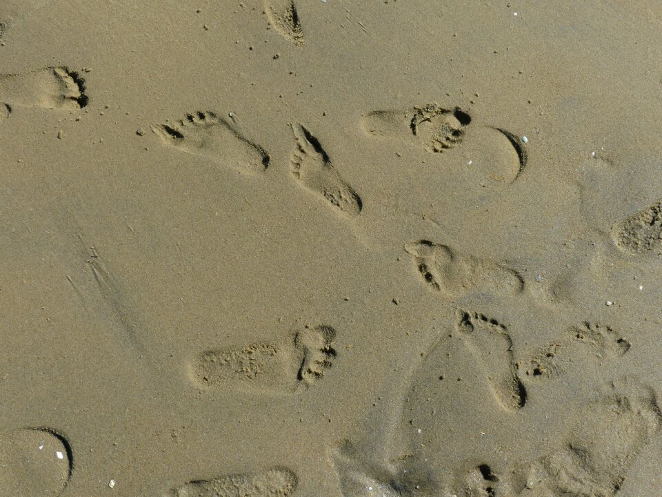 Nature foot summer