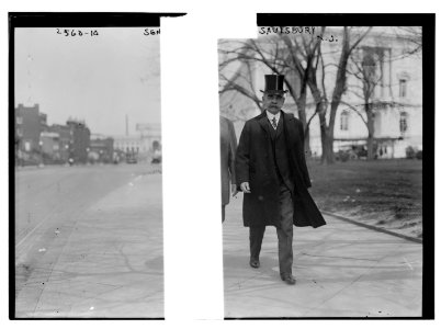 Sen. Saulsbury, N.J. LCCN2014692104