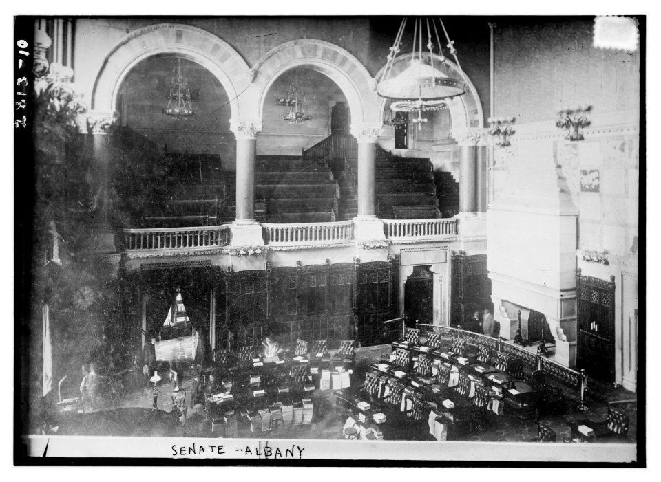 Senate - Albany LCCN2014694083