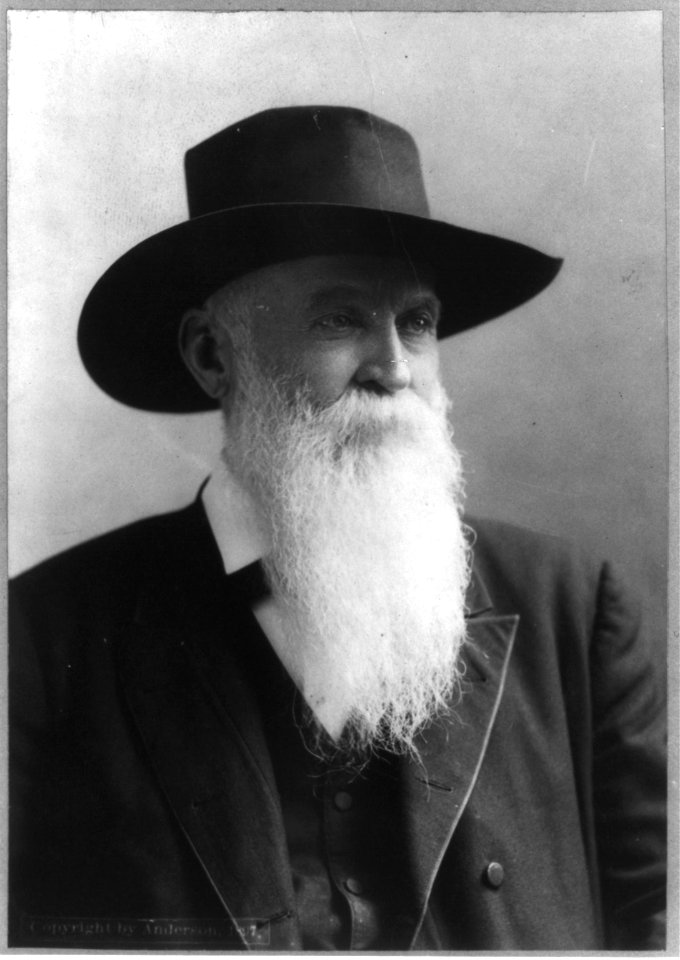 Sen. Wm. M. Stewart of Nev. LCCN2002736863