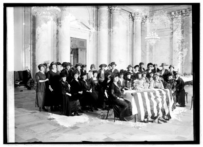 Senate ladies luncheon, (2-22-21) LCCN2016844954
