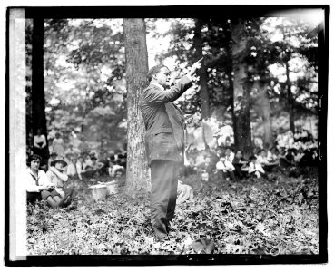 Senator Frank Willis of Ohio, Forest Protection Week LOC npcc.04253
