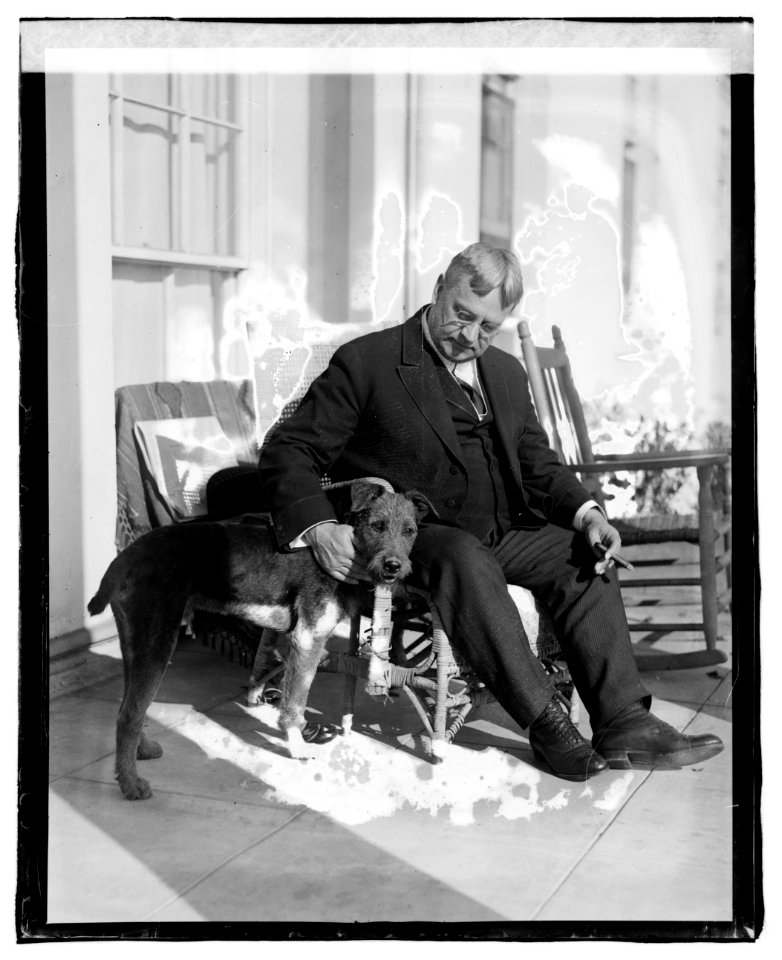 Senator Hiram Johnson LCCN2016819856