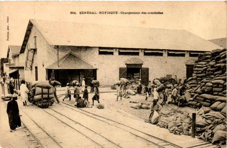 Senegal - Rufisque - Chargement des arachides