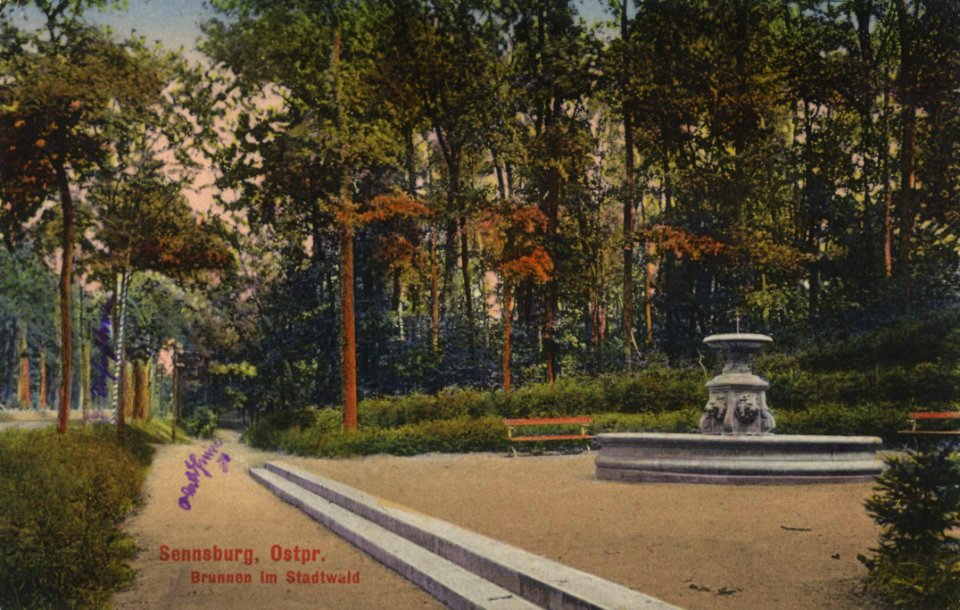 Sennsburg, Ostpreußen - Brunnen im Stadtwald (Zeno Ansichtskarten)