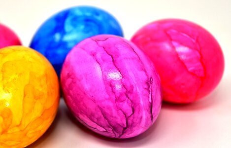 Colorful eggs easter eggs close up photo