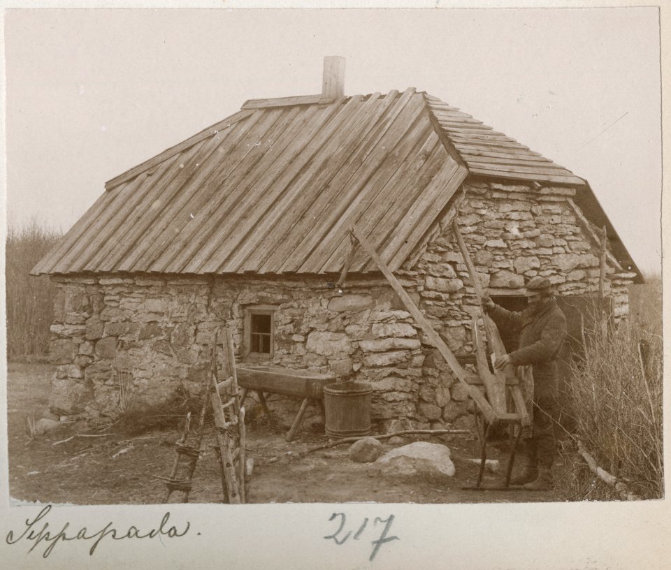 Sepapada, AM13813F11684 217