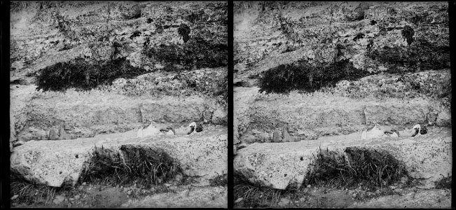 Sepultura d'una dona a les muntanyes de Siurana