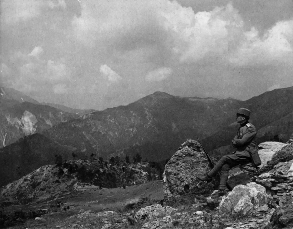 Serbian solider looking to Kaymakcalan massif from Gornji Požar (Macedonian front)