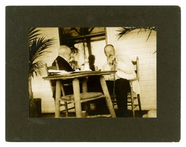 Serge Witte and Baron Rosen in palm garden at the Wentworth Hotel LCCN2005680334