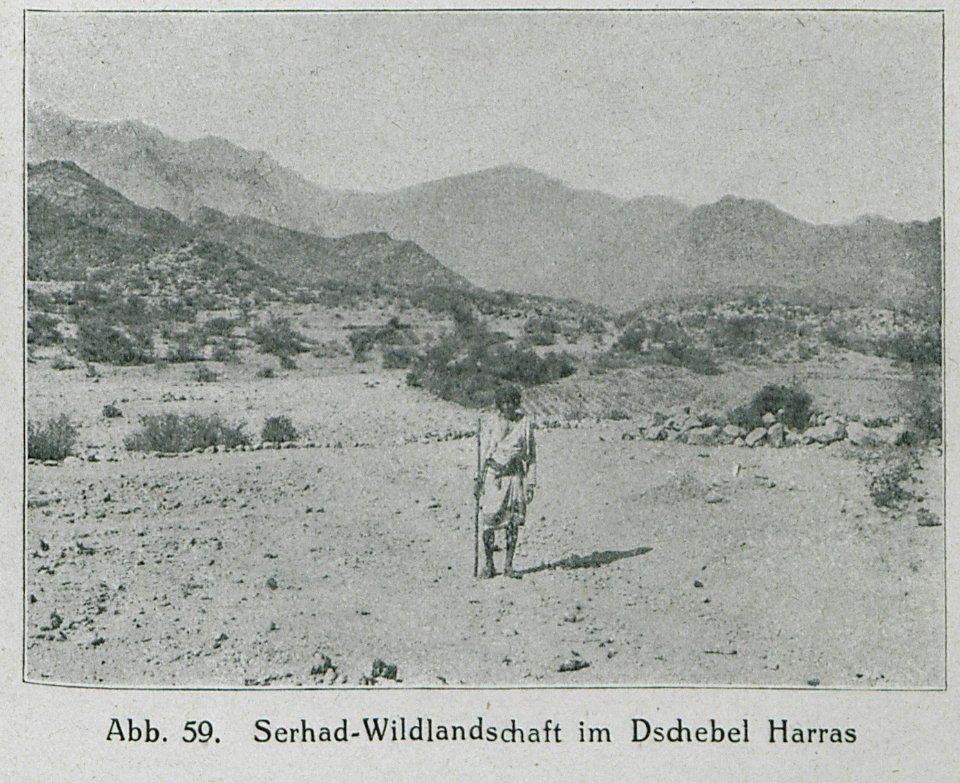 Serhad-Wildlandschaft im Dschebel Harras - Banse Ewald - 1919